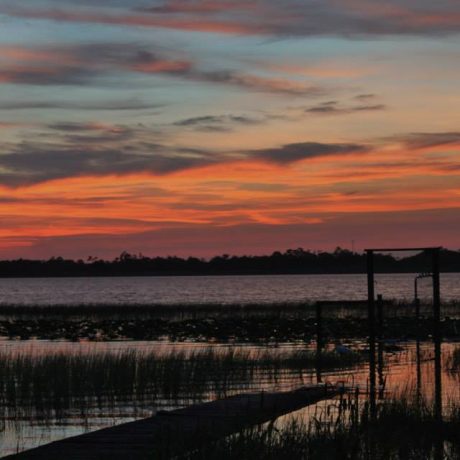 A serene image of Lake Letta at sunset, surrounded by lush greenery, representing the peaceful and scenic atmosphere at Lake Letta RV Park in Avon Park, FL.