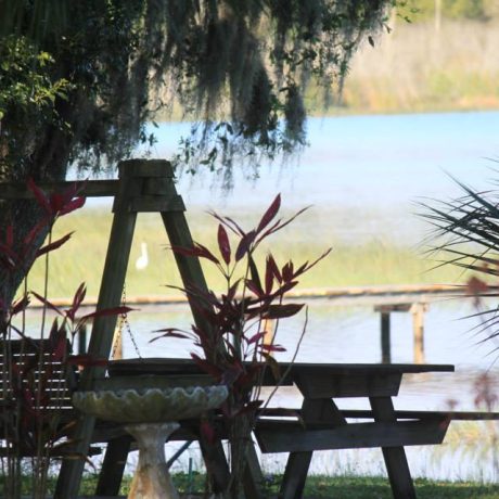 A serene image of Lake Letta at sunset, surrounded by lush greenery, representing the peaceful and scenic atmosphere at Lake Letta RV Park in Avon Park, FL.